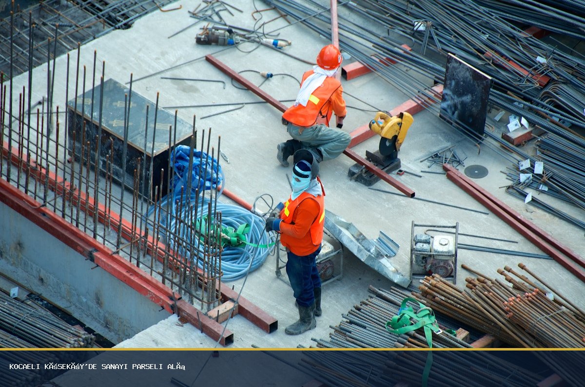 Kocaeli Köseköy'de Sanayi Parseli Alırken Nelere Dikkat Etmeli: 'Arif Bey'den Tapu ve Ruhsat Tüyoları